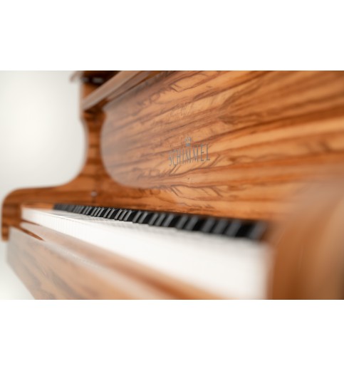 Schimmel Classic C169T Noyer
